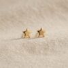 6b9f21d3-b5a1-4dcc-9a02-ee2234134ef0 Brinco Infantil Estrela, com Tarraxa Baby, Banhado a Ouro