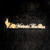 Boton-de-Nome-e-Profissao-Personalizado-Banhado-Ouro-18k-8000047-PER Boton de Nome e Profissão Personalizado, Banhado a Ouro